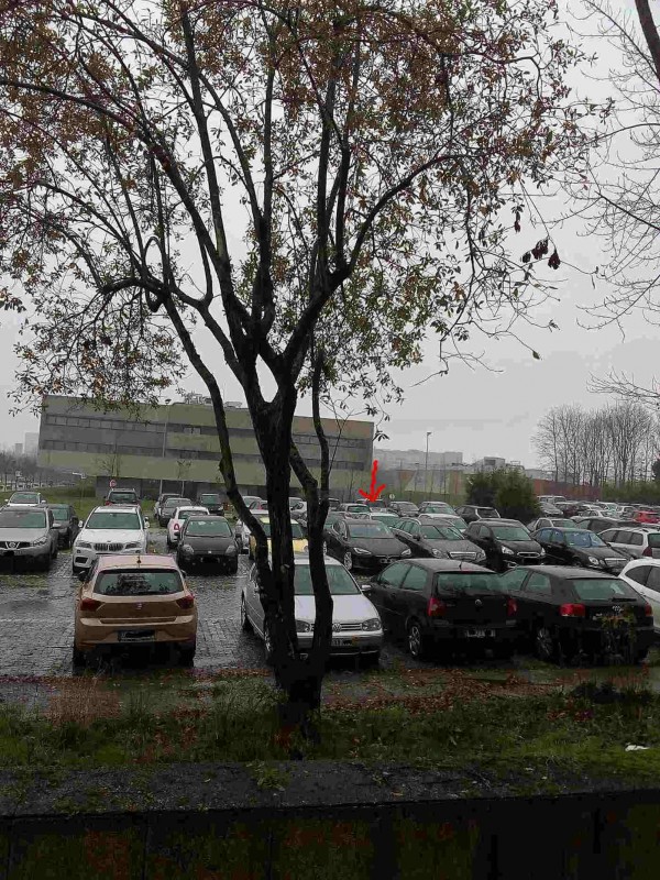 tesla 2018 parque.jpg (207.62 KiB) Visto 7918 vezes será que o dono anda por cá?