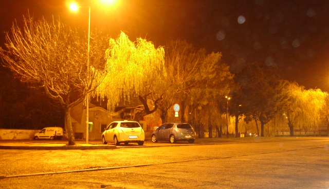 DSC01314.JPG